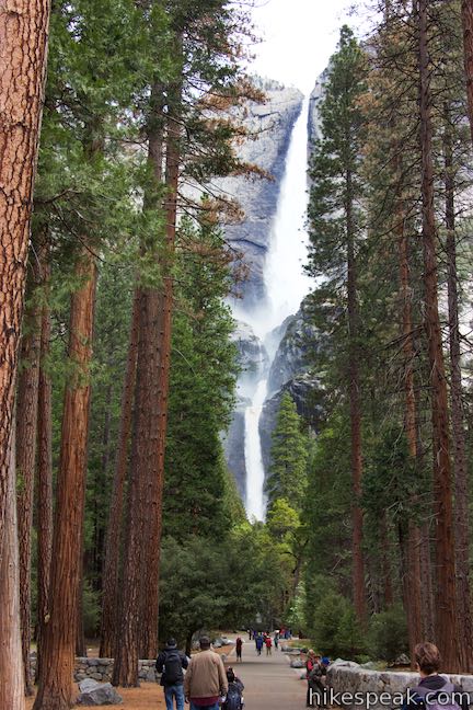 Lower Yosemite Fall dropping between granite walls and pine trees